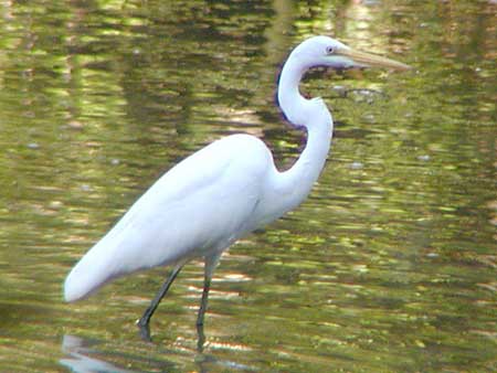 greategret.jpg